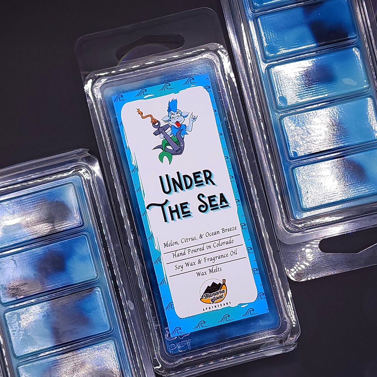 Under the Sea Wax Melt